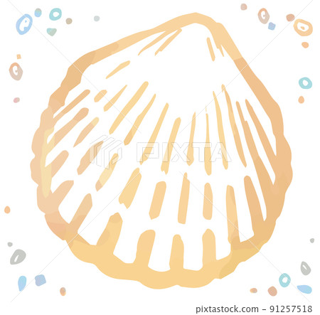 Watercolor style, sea shells. Vector illustration material. 91257518