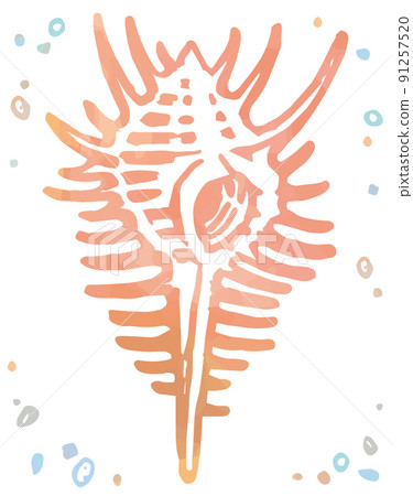 Watercolor style, sea shells. Vector illustration material. 91257520