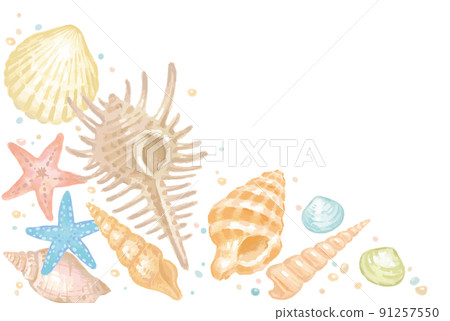 Sea shells, starfish frames, backgrounds. Watercolor style, vector illustration material. 91257550