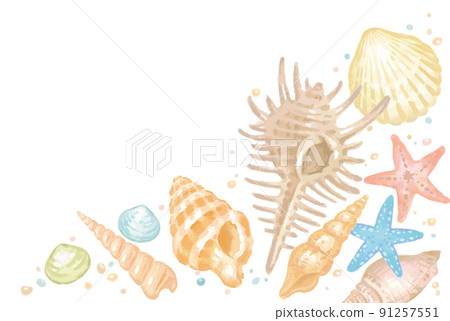 Sea shells, starfish frames, backgrounds. Watercolor style, vector illustration material. 91257551