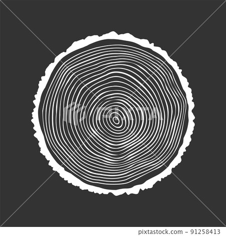 Round tree trunk cut, sawn pine or oak slice. Saw cut timber, wood. White wooden texture with tree rings. Hand drawn sketch. Vector illustration 91258413