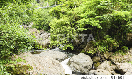 Early summer in Oyanagawa Gorge Early summer in Oyanagawa Gorge 91260133