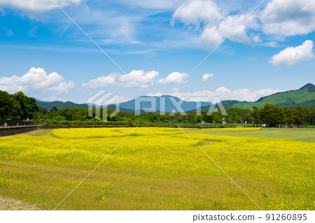 山梨縣山中湖村 山梨縣山中湖村 91260895