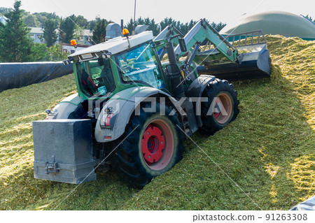Production of fodder in agricultural complex 91263308
