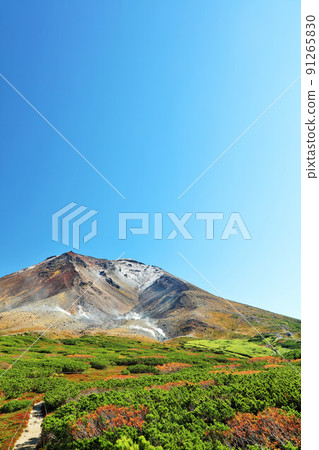 北海道秋天的藍天和旭岳 91265830