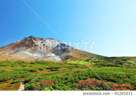 北海道秋天的藍天和旭岳 91265831