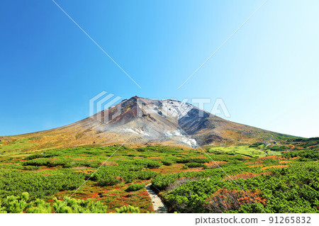 北海道秋天的藍天和旭岳 91265832