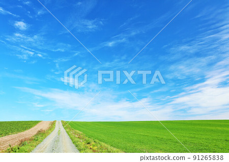 北海道秋天的藍天和美瑛路 北海道秋天的藍天和美瑛路 91265838