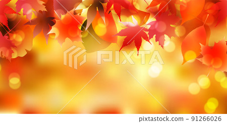 Autumn leaves maple autumn background Autumn leaves maple autumn background 91266026
