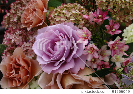 June flowers, roses and annabel June flowers, roses and annabel 91266049