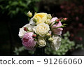 English roses 91266060