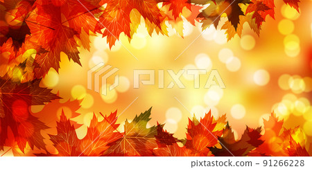  Autumn leaves maple autumn background 91266228
