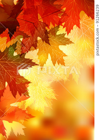 Autumn leaves Maple autumn background - Stock Illustration [91266239 ...