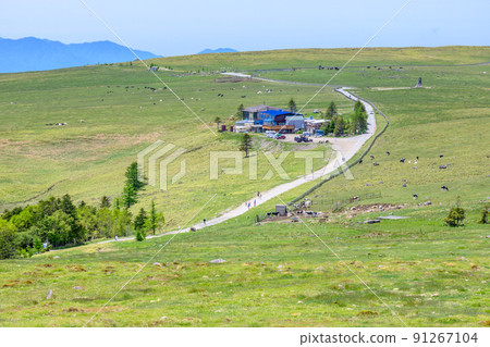 【長野縣】從牛毛山眺望的鬱積原高原 91267104