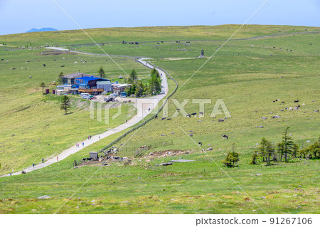 【長野縣】從牛毛山眺望的鬱積原高原 91267106