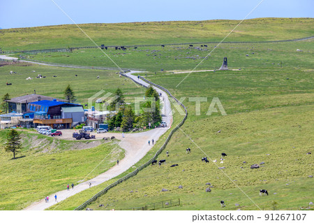 【長野縣】從牛毛山眺望的鬱積原高原 91267107