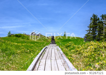 [長野縣] 郁志原高原 91267121