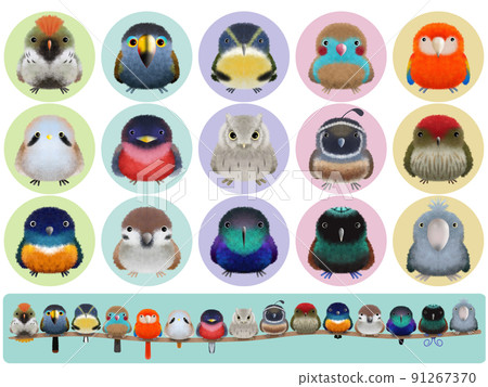 Fluffy Bird Series C with background 91267370