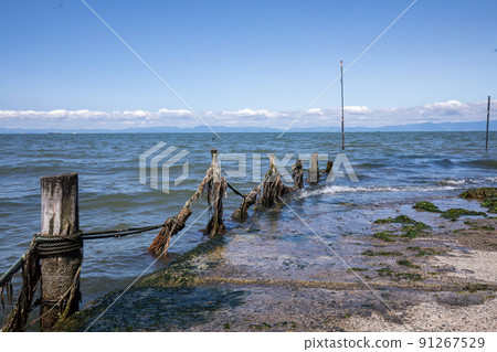 海景海景 海景海景 91267529
