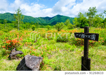 初夏的乘倉高原(一之瀨杜鵑花園) 初夏的乘倉高原(一之瀨杜鵑花園) 91268610