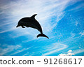 A dolphin flying in the sky 91268617
