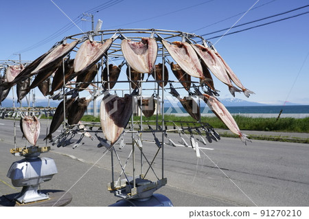 Dried atka mackerel that can be dried while rotating Dried atka mackerel that can be dried while rotating 91270210