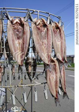 Dried atka mackerel that can be dried while rotating 91270211