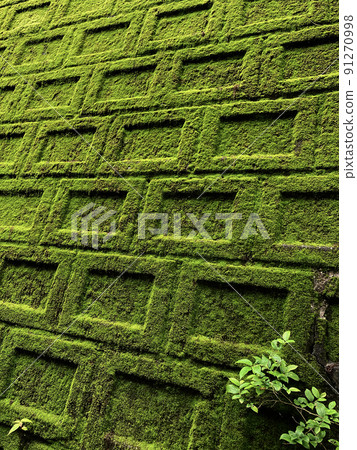 Mossy block exposed to soft sunlight Mossy block exposed to soft sunlight 91270998