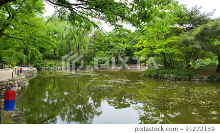 Changgyeonggung Changgyeonggung 91272139