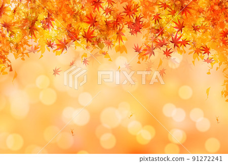 Autumn leaves maple autumn background Autumn leaves maple autumn background 91272241
