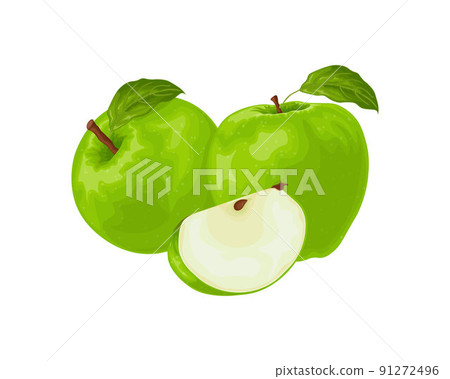 Apple. The image of a green apple in the section. Fresh garden fruit. Vegetarian product. Vector illustration isolated on a white background 91272496