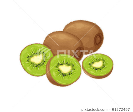 Kiwi fruit. Ripe kiwi. Image of a ripe kiwi fruit. Vitamin fruit. Organic vegetarian products. Vector illustration isolated on a white background 91272497