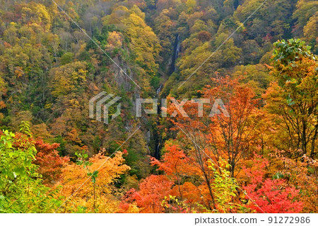 Shinshu Matsukawa Valley Yataki yellow leaves in full bloom Shinshu Matsukawa Valley Yataki yellow leaves in full bloom 91272986