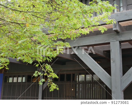 Blue maple hanging on the eaves of an old folk house 91273081