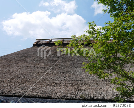 藍天、白雲、稻草屋頂和新鮮的綠樹 91273088