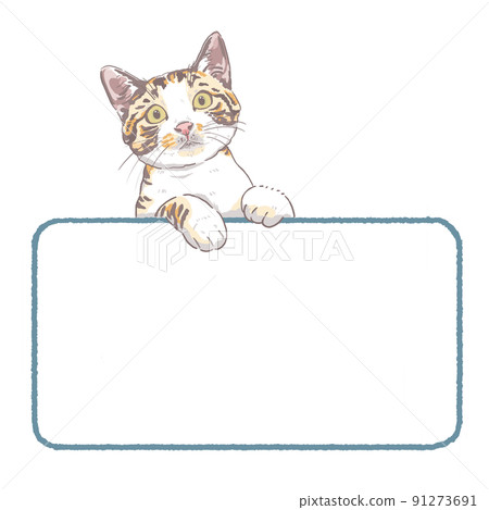 用前腿看著你的可愛貓架 用前腿看著你的可愛貓架 91273691