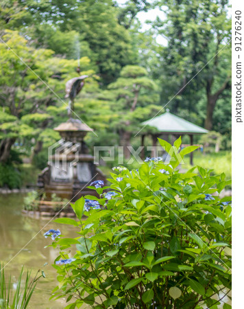Hibiya Park Pond in June 91276240