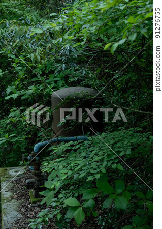 A tank that blends in naturally 91276755