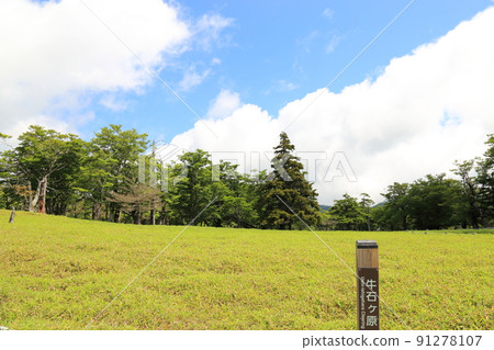 Heading to Odaigahara Ushiishigahara [Yoshino Kumano National Park] 91278107