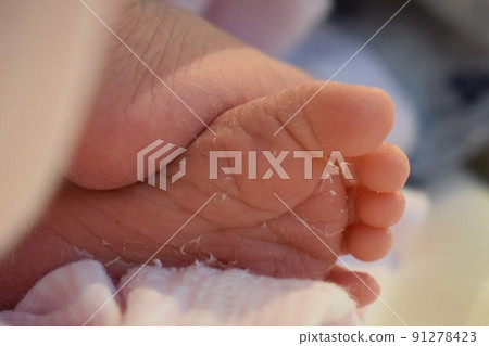 New life New life 91278423