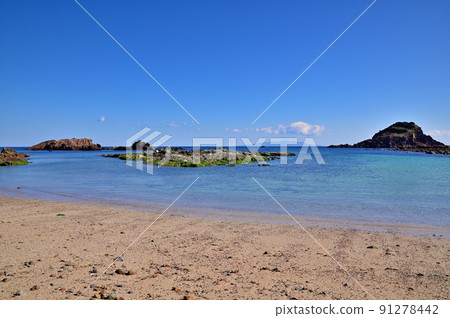 南伊豆妻崎海岸 91278442