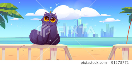 Cute cat sit on terrace railing on sea beach Cute cat sit on terrace railing on sea beach 91278771