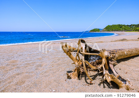 Senri Beach, when it was fresh green, Minabe Town, Wakayama Prefecture 91279046