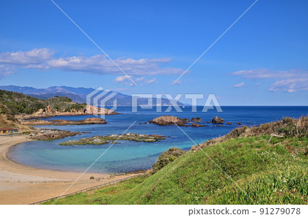 南伊豆妻崎海岸 91279078