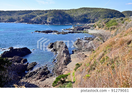 南伊豆妻崎海岸 91279081