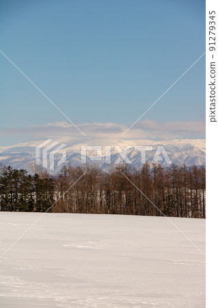 雪山和Aozora 雪山和Aozora 91279345
