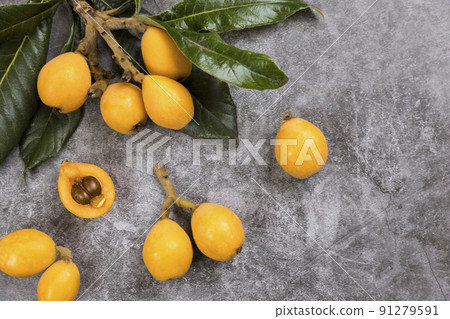 Natural loquat with branches Natural loquat with branches 91279591