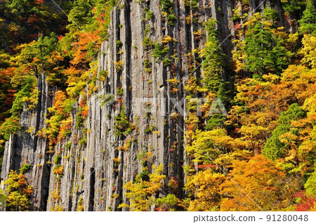 信州秋山鄉 布岩美麗的紅葉 信州秋山鄉 布岩美麗的紅葉 91280048