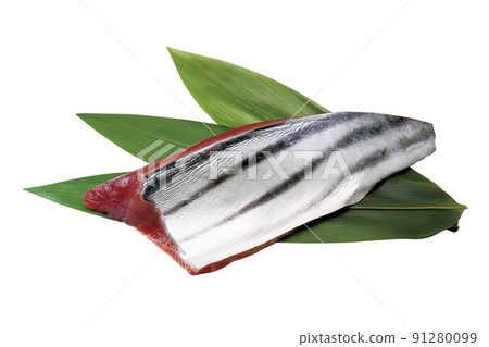 鰹魚的腹部和身體 Saku_06（通過） 91280099