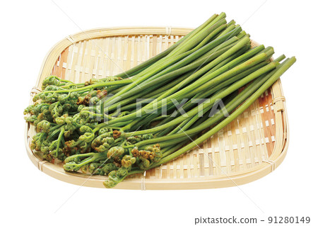 Bracken_04 (with pass) 91280149